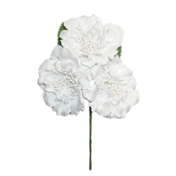 Flor Ramillete Blanco