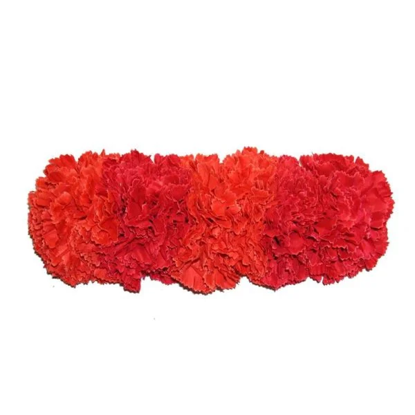 Tiara De Flamenco Roja