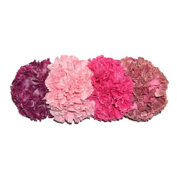 Tiara de Flor Rosa